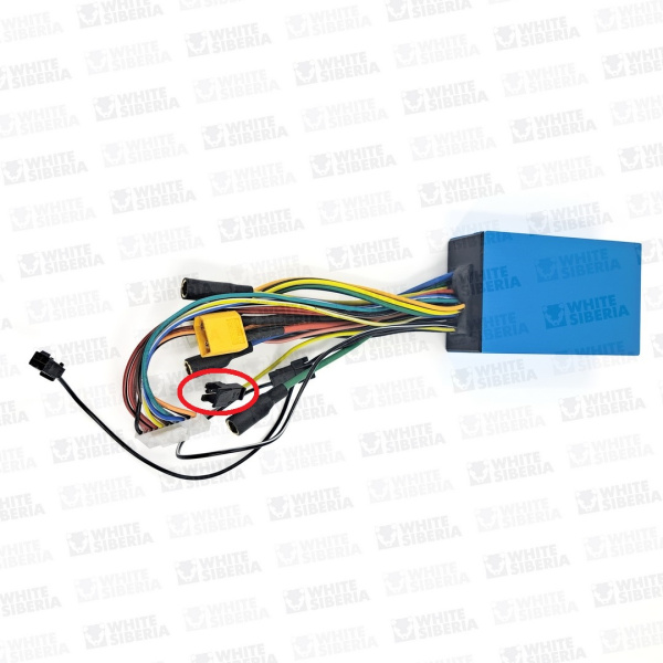 50a3bc20_380d_11ed_98c7_0cc47a817b0f_74481157_864d_11ef_a444_74563c732538